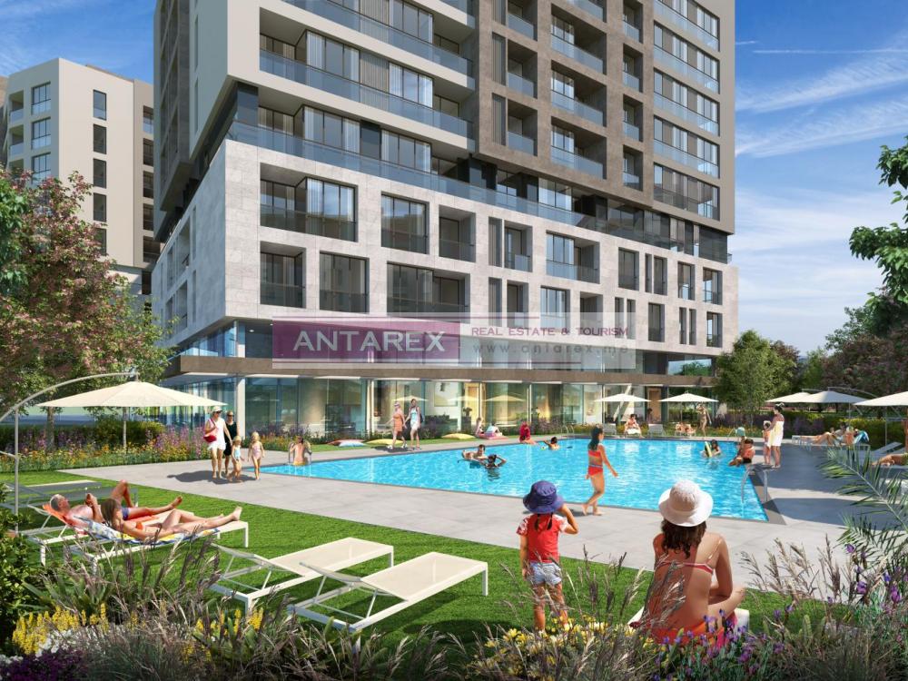 Montenegro real estate 