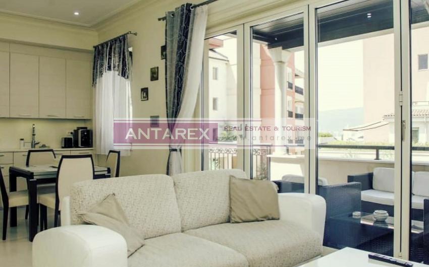 First line apartment in Tivat for rent