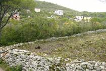 Investments in land plot in Lustica